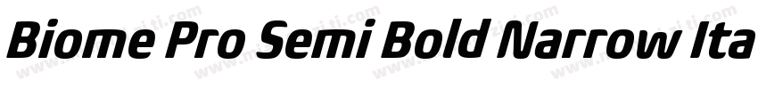 Biome Pro Semi Bold Narrow Itali字体转换